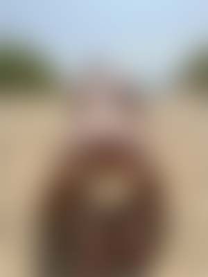 Let’s have sand everywhere, beach hookup in Hollywood