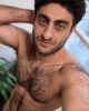 Your adventure with a hairy Greek in Chicago