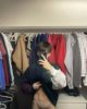 Getting out of the closet in Sioux Falls SD